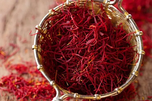تاریخچه کشت زعفران در تربت حیدریه